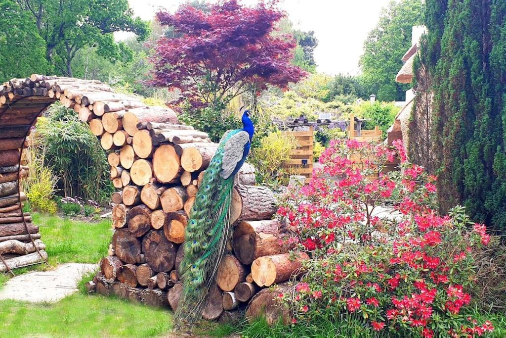 Little Thatch Дом отдыха Корф-Касл